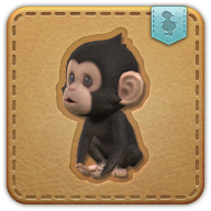 Image de présentation de la mascottes Chimpanzé