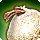 Icone de présentation de la monture Dodo